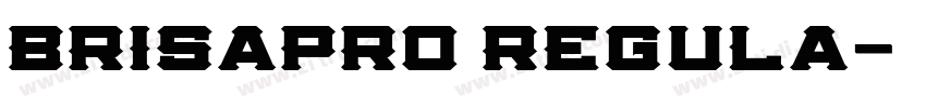 BrisaPro Regula字体转换